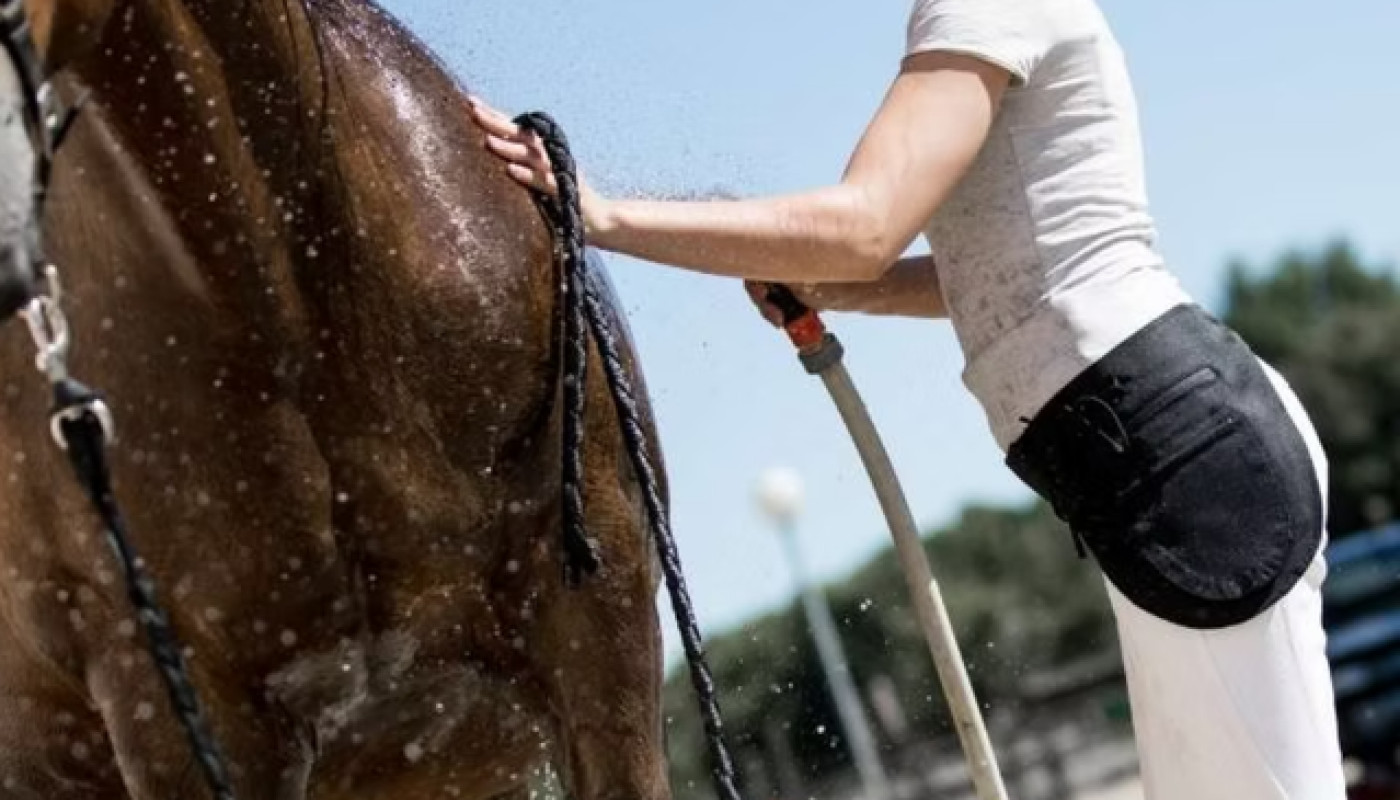 Pour vos activités de plein air, restez chic avec ce sac ceinture pour femme !